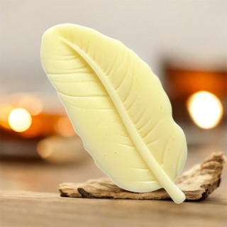Monoi infinity candles drome.JPG