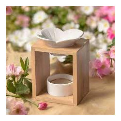 Brûle parfum plumeria infinity candles drome.jpg