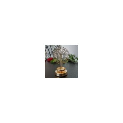 Brule parfum corail infinity candles drome.jpg