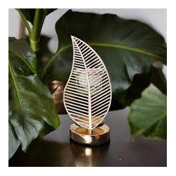 Bruleur palme infinity candles drome.jpg