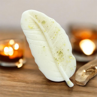 Orchidee blanche Smoothie infinity candles drome.JPG