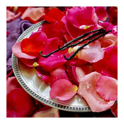 Parfum rose vanillée Infinity candles drôme.jpg