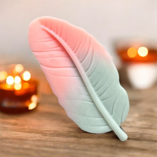 Fondant plume parfum Grenade et Poire