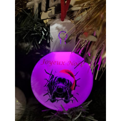 Boule plate Led Joyeux Noël
