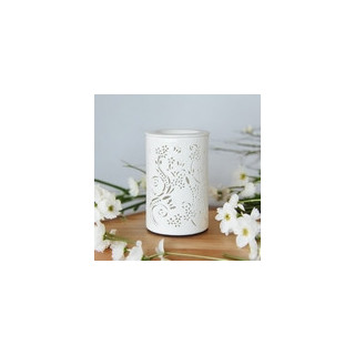 Diffuseur par Chaleur Douce CALORYA N° 1