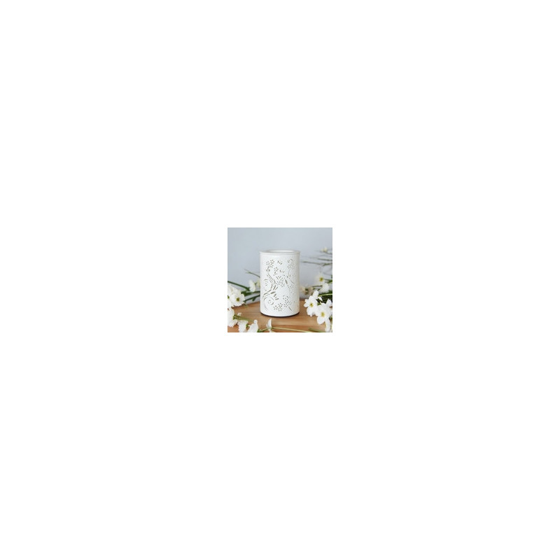 Diffuseur par Chaleur Douce CALORYA N° 1
