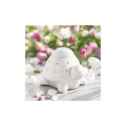 Brule parfum tortue