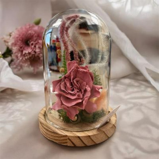 Jardin secret gardenia