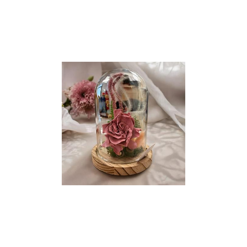 Jardin secret gardenia