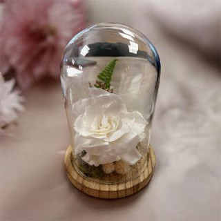 Jardin secret gardenia