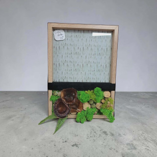Cadre en fleurs séchées – Une touche de poésie dans votre intérieur