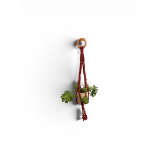 Suspension terracotta + pot en gré + plante