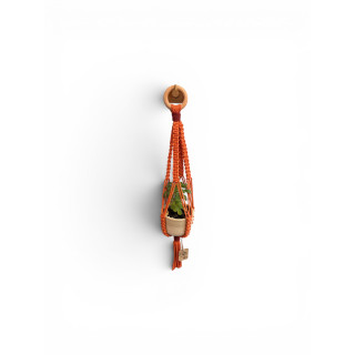 Suspension orange + pot en gré + plante