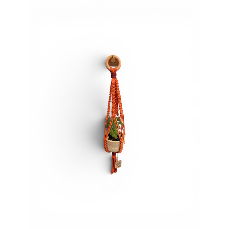 Suspension orange + pot en gré + plante