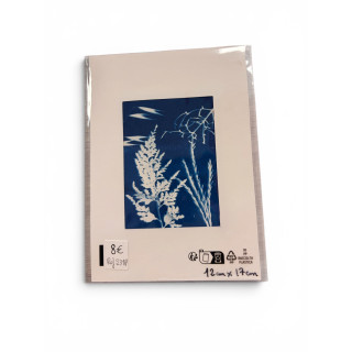 Petit cyanotype pour cadre 12x17 cm