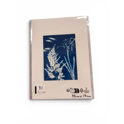 Petit cyanotype pour cadre 12x17 cm