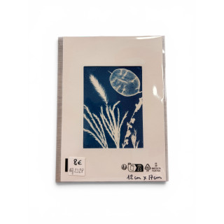 Petit cyanotype pour cadre 12x17 cm