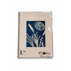 Petit cyanotype pour cadre 12x17 cm