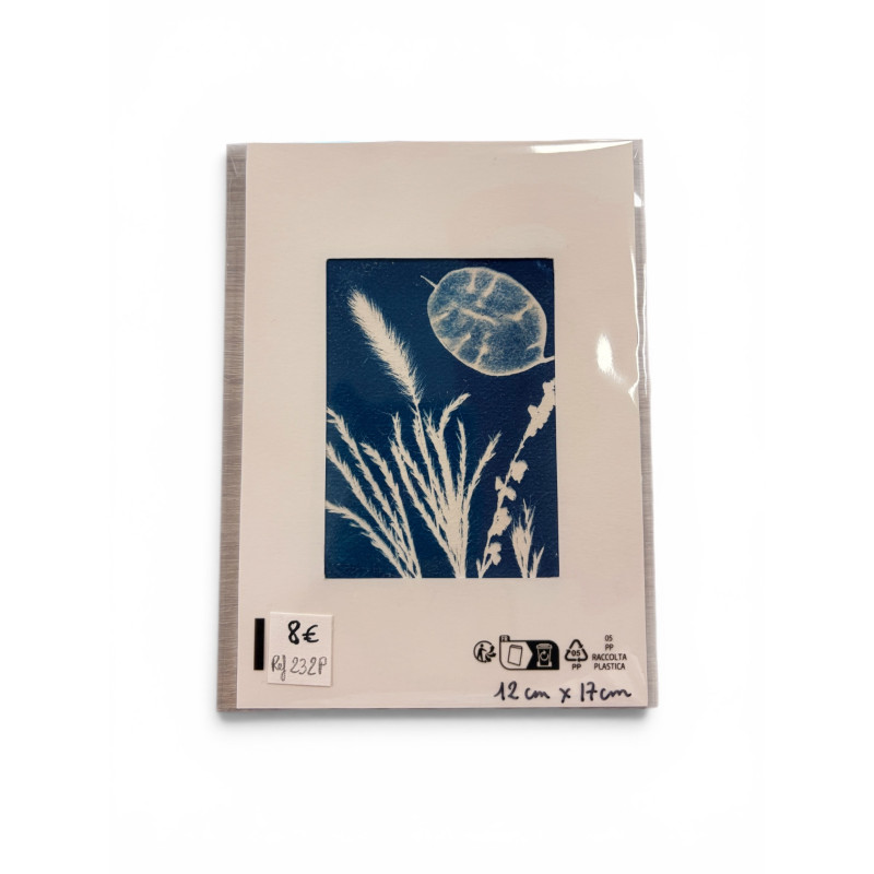 Petit cyanotype pour cadre 12x17 cm