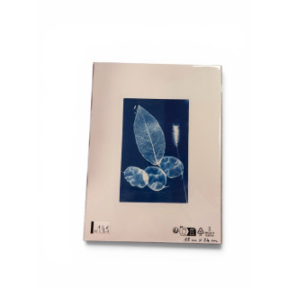 Cyanotype rectangle pour cadre 18x24-REF C 231R