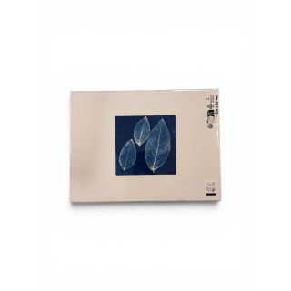 Cyanotype carré pour cadre 18x24-REF 237C