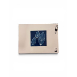Cyanotype carré pour cadre 18x24-REF 237C