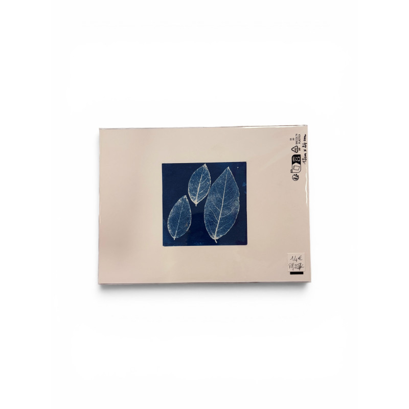 Cyanotype carré pour cadre 18x24-REF 237C
