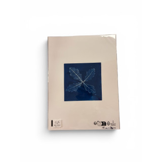Cyanotype carré pour cadre 18x24-REF 236C