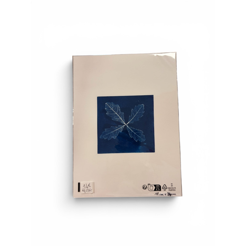 Cyanotype carré pour cadre 18x24-REF 236C