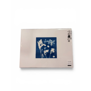 Cyanotype carré pour cadre 18x24-REF 232C