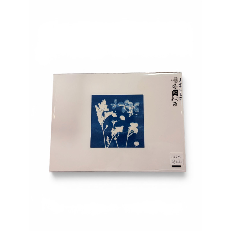 Cyanotype carré pour cadre 18x24-REF 232C