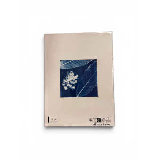 Cyanotype carré pour cadre 18x24-REF 231C