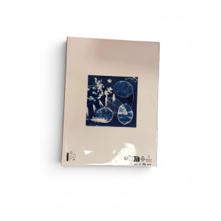 Cyanotype carré pour cadre 18x24-REF 233C