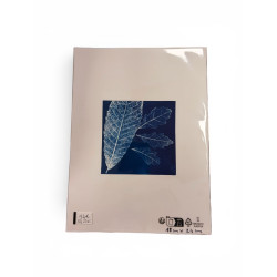 Cyanotype carré pour cadre 18x24-REF 234C