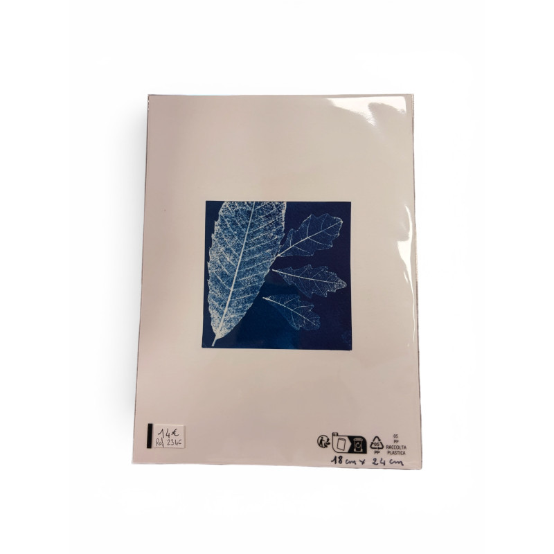 Cyanotype carré pour cadre 18x24-REF 234C