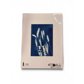 Cyanotype rectangle pour cadre 18x24-REF 232R