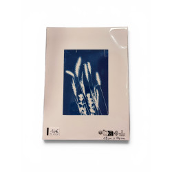 Cyanotype rectangle pour cadre 18x24-REF 232R