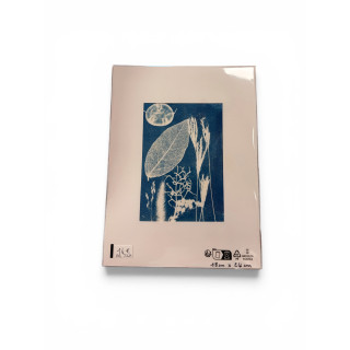Cyanotype rectangle pour cadre 18x24-REF 233R