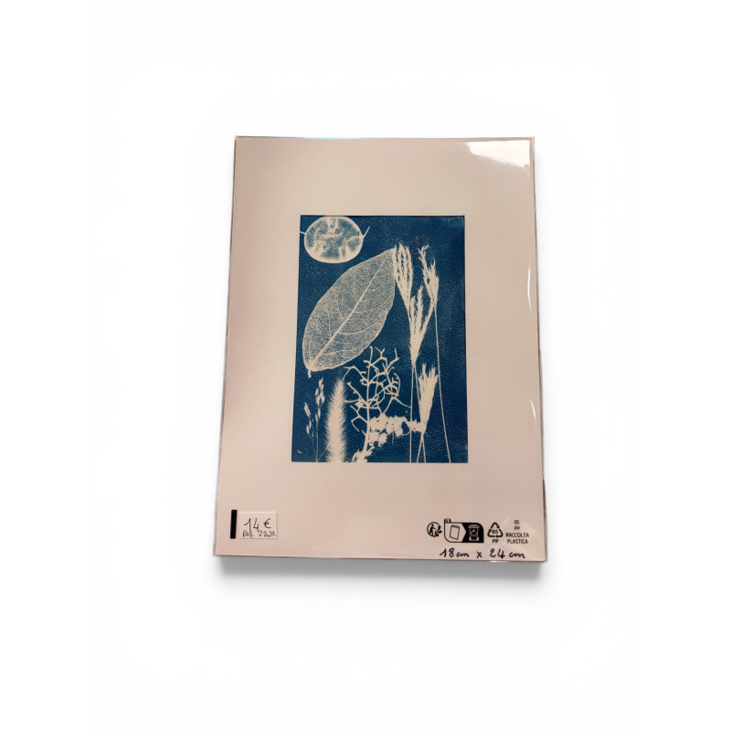 Cyanotype rectangle pour cadre 18x24-REF 233R
