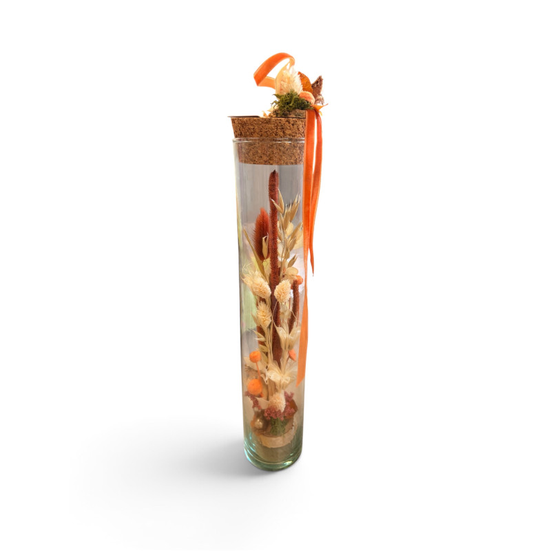 Jardin secret orange