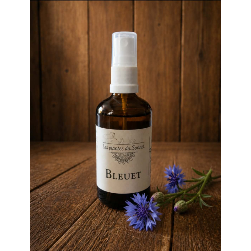 Hydrolat de Bleuet