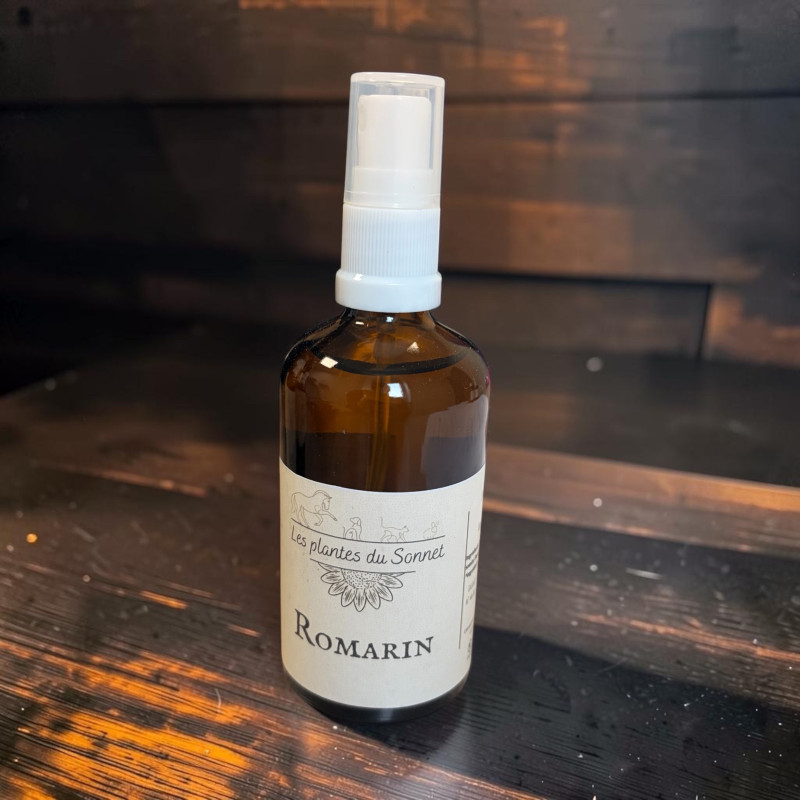 Vaporisateur-Romarin