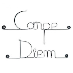 " Carpe Diem " - Message simple en fil de fer  - à punaiser - Bijoux de mur (Ref MS-07)