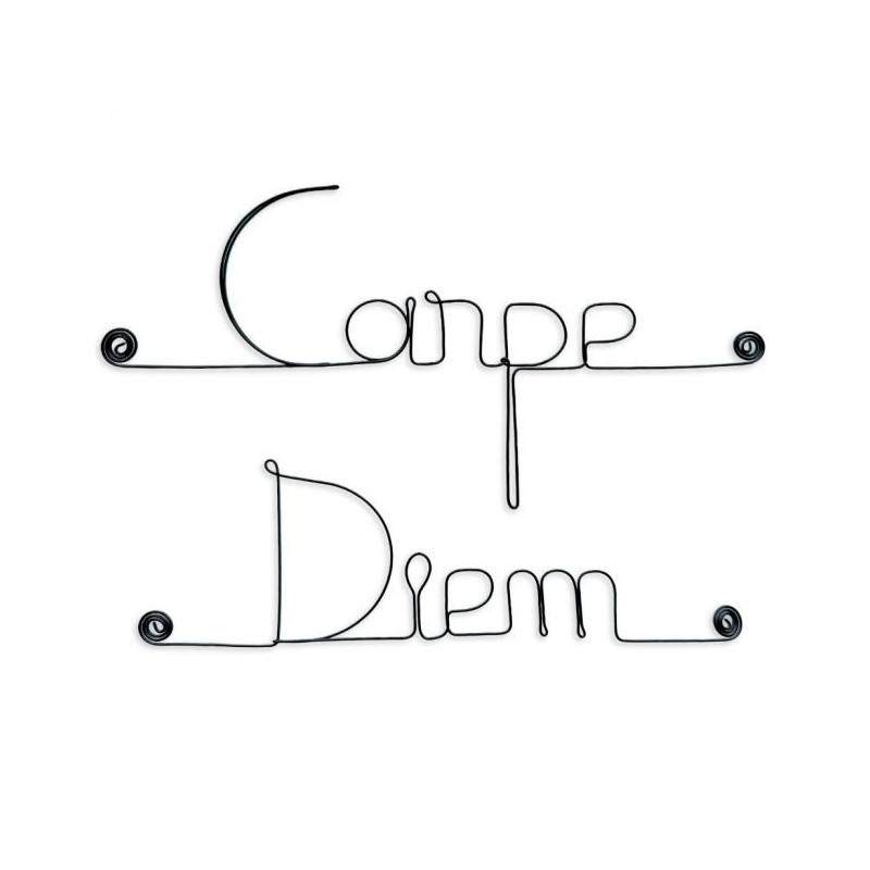 " Carpe Diem " - Message simple en fil de fer  - à punaiser - Bijoux de mur (Ref MS-07)