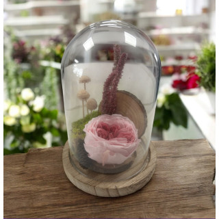 Jardin secret avec une rose stabilisée