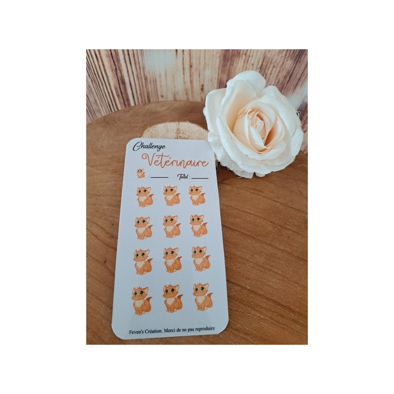 Challenge Vétérinaire (chat)