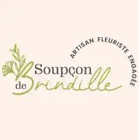 Soupçon de brindille