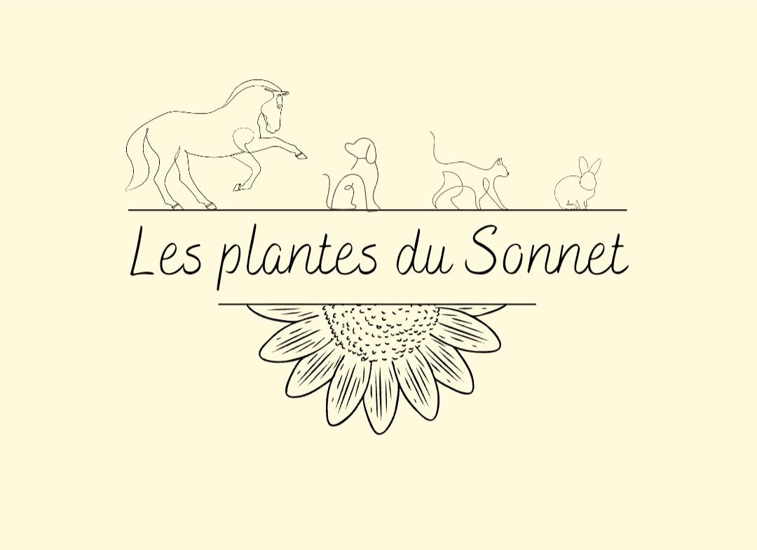 Les plantes du Sonnet
